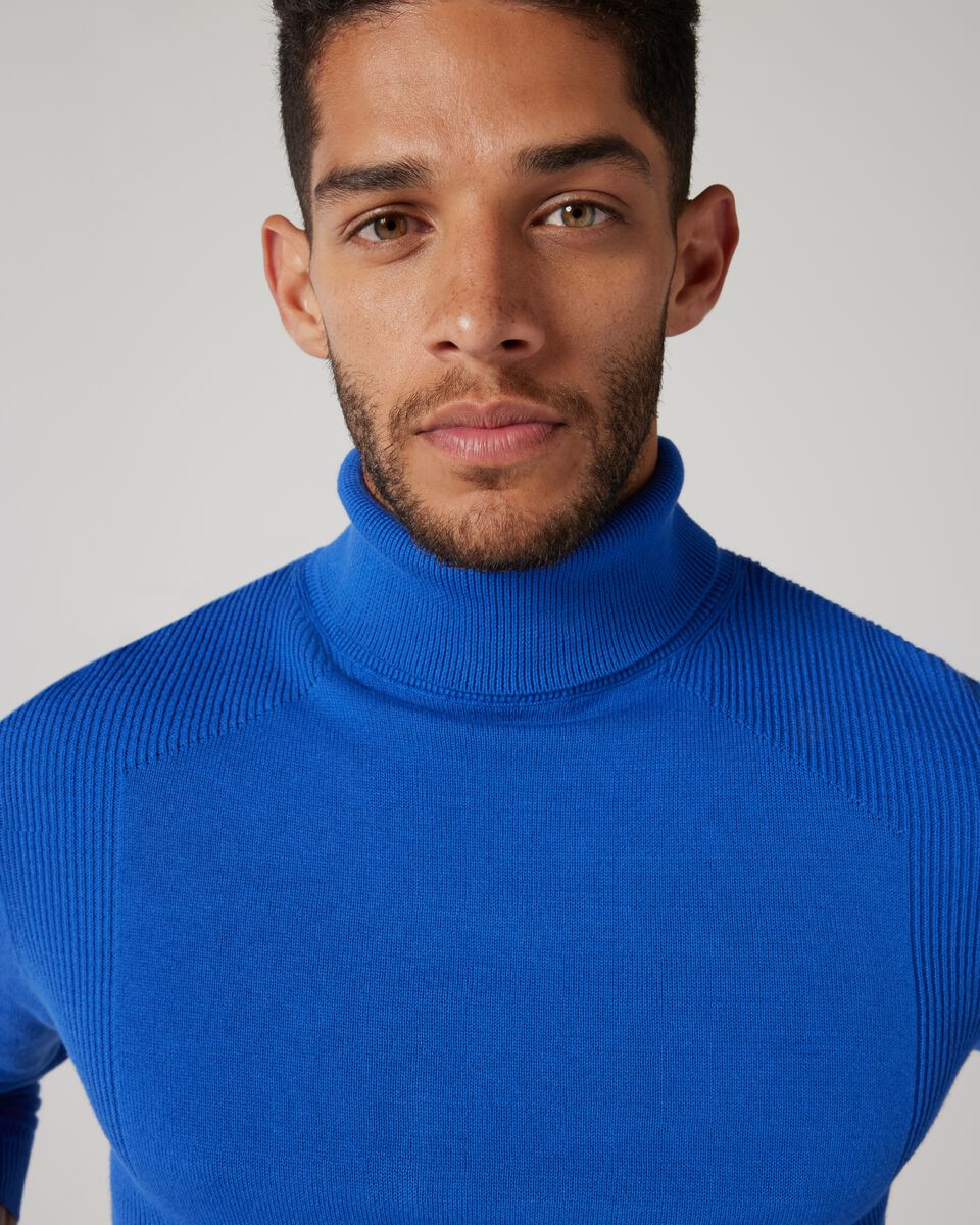 Roll Neck Knit With Rib Detail 